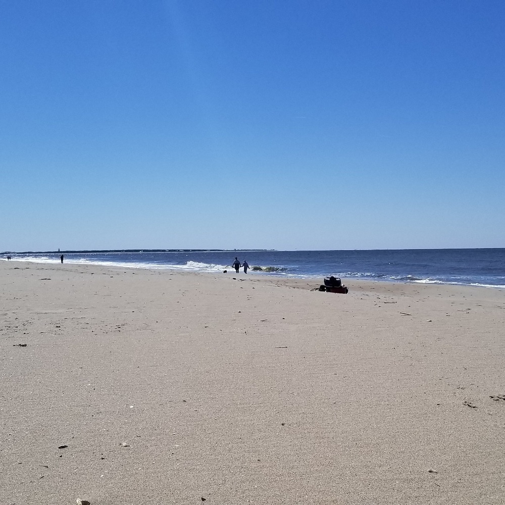 Meet your Posher, Michele